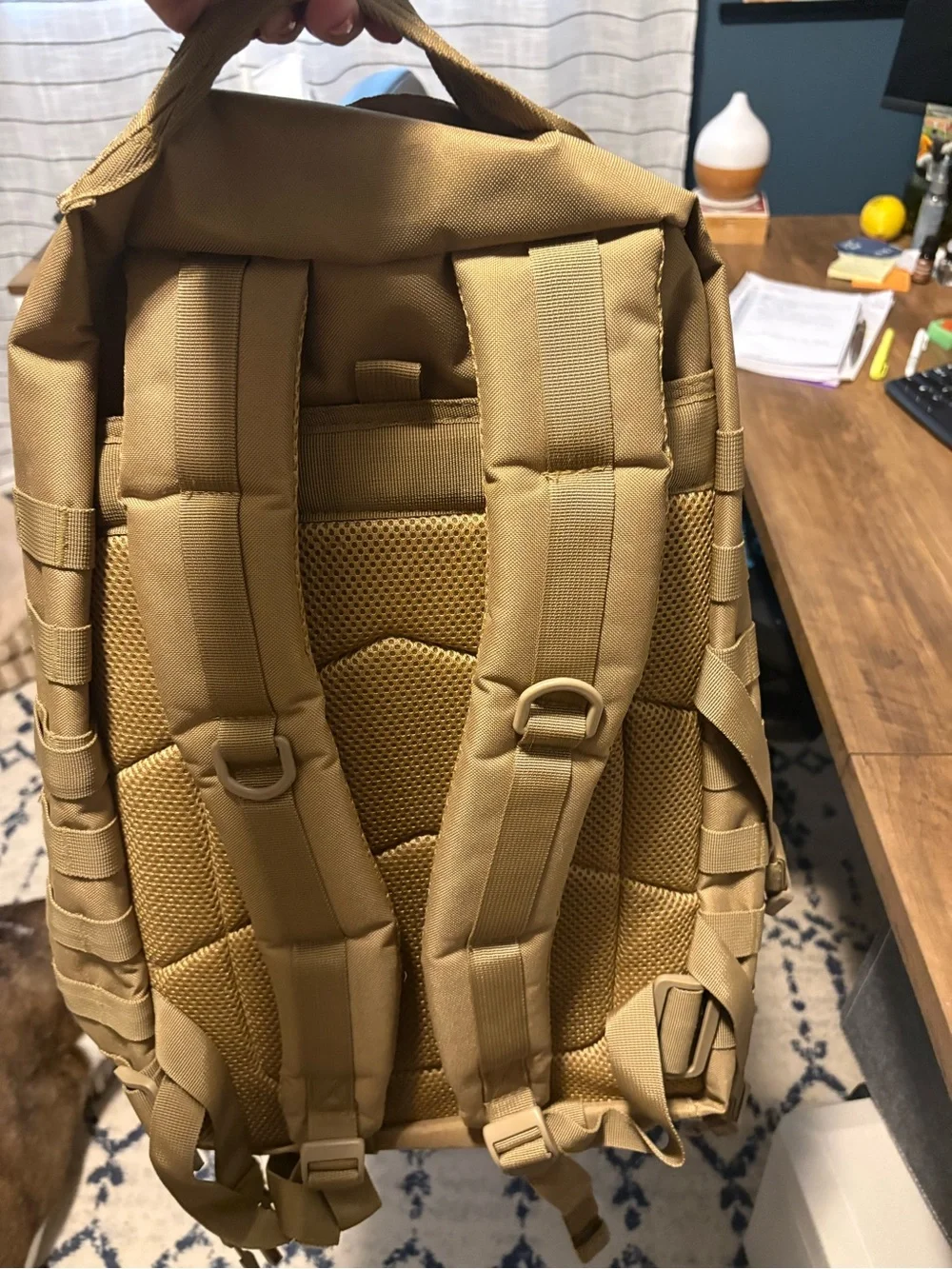 Red Rock Never used Men's Backpack - Khaki